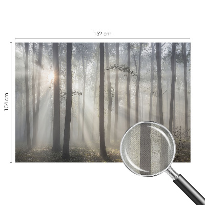 Tapeta do obývačky Éterický les