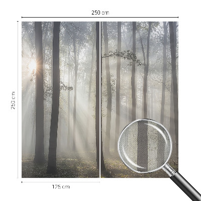 Tapeta do obývačky Éterický les