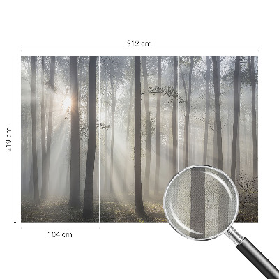 Tapeta do obývačky Éterický les