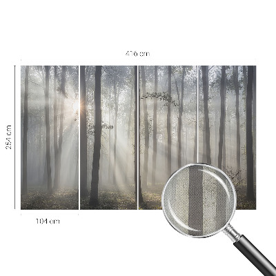 Tapeta do obývačky Éterický les