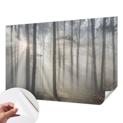 Tapeta do obývačky Éterický les