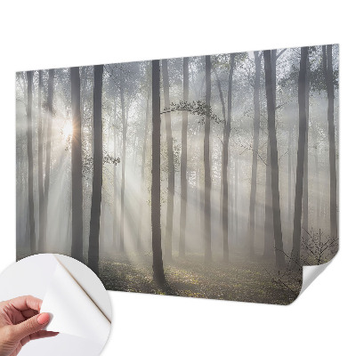 Tapeta do obývačky Éterický les