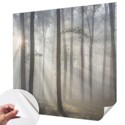 Tapeta do obývačky Éterický les