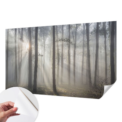 Tapeta do obývačky Éterický les