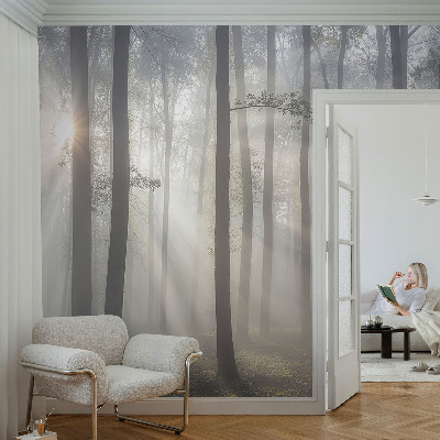 Tapeta do obývačky Éterický les