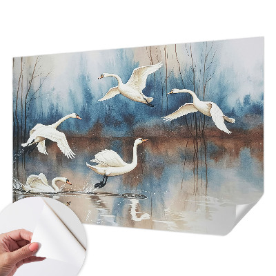 Tapety na stenu samolepiace Vtáky za letu