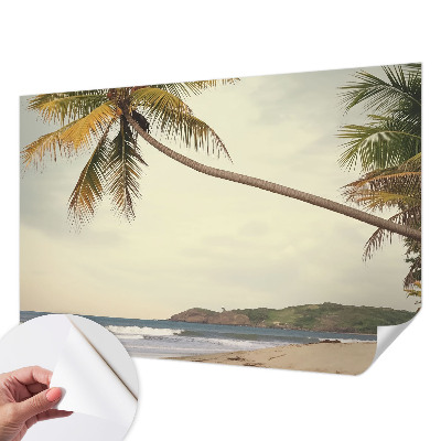 3D fototapeta s motívom tropickej krajiny