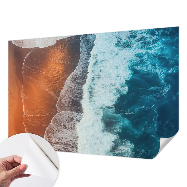 Tapeta do obývačky Morská symbióza