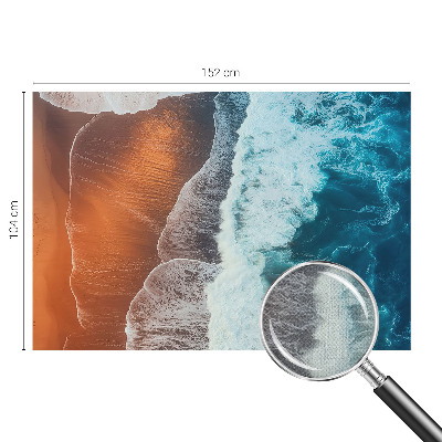 Tapeta do obývačky Morská symbióza