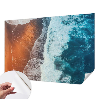 Tapeta do obývačky Morská symbióza