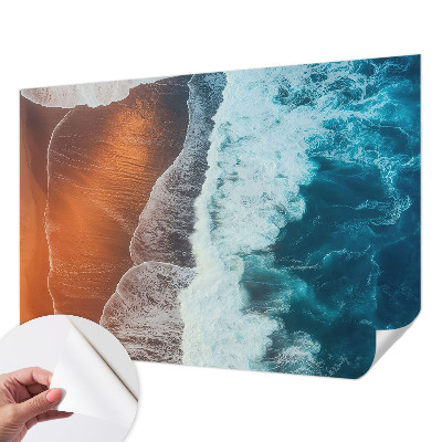 Tapeta do obývačky Morská symbióza