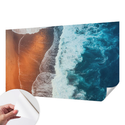 Tapeta do obývačky Morská symbióza