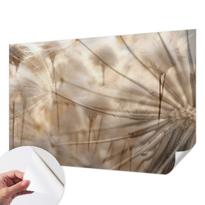 Moderná tapeta na stenu Jemné púpavy