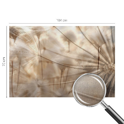 Moderná tapeta na stenu Jemné púpavy