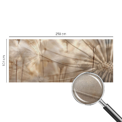 Moderná tapeta na stenu Jemné púpavy