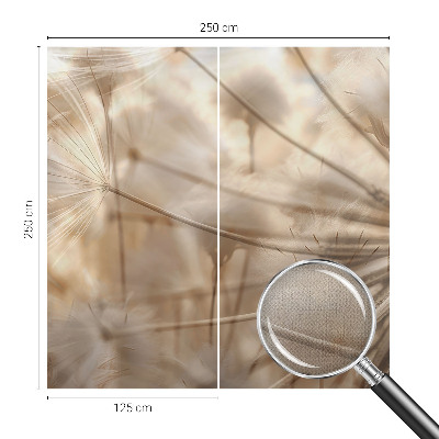 Moderná tapeta na stenu Jemné púpavy