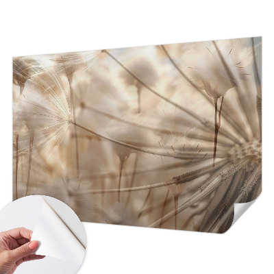 Moderná tapeta na stenu Jemné púpavy