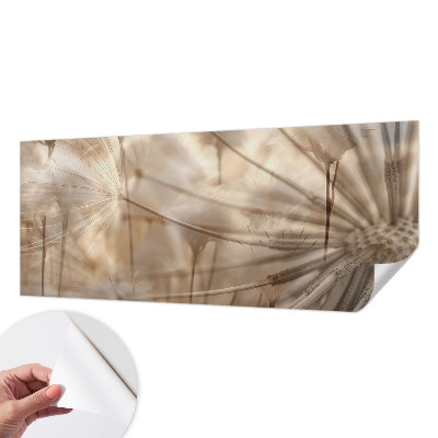 Moderná tapeta na stenu Jemné púpavy