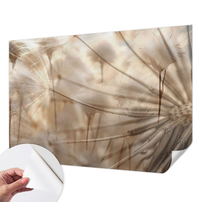 Moderná tapeta na stenu Jemné púpavy