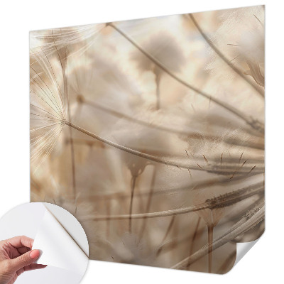 Moderná tapeta na stenu Jemné púpavy