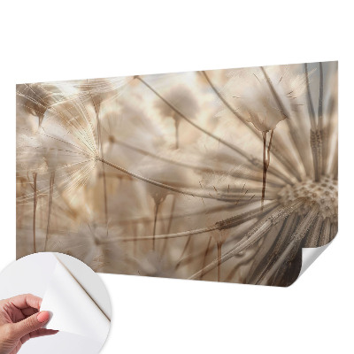 Moderná tapeta na stenu Jemné púpavy