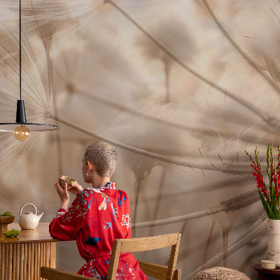 Moderná tapeta na stenu Jemné púpavy