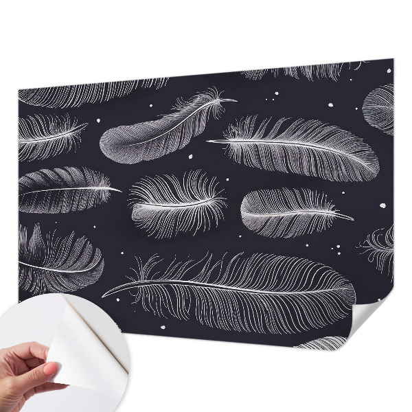 3D fototapeta Jemné pierka