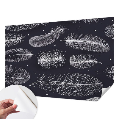 3D fototapeta Jemné pierka