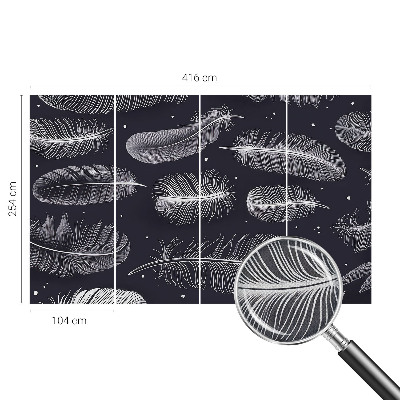 3D fototapeta Jemné pierka