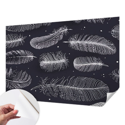 3D fototapeta Jemné pierka