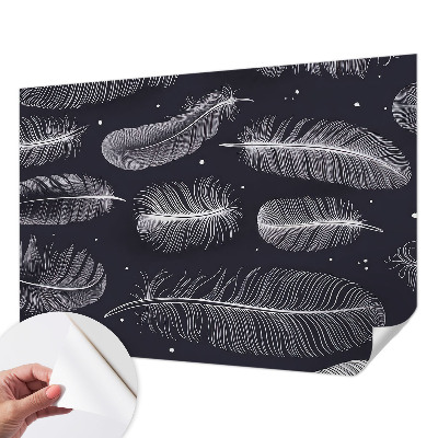 3D fototapeta Jemné pierka