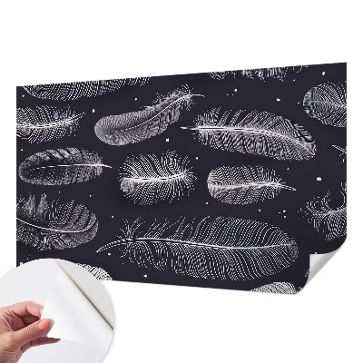 3D fototapeta Jemné pierka