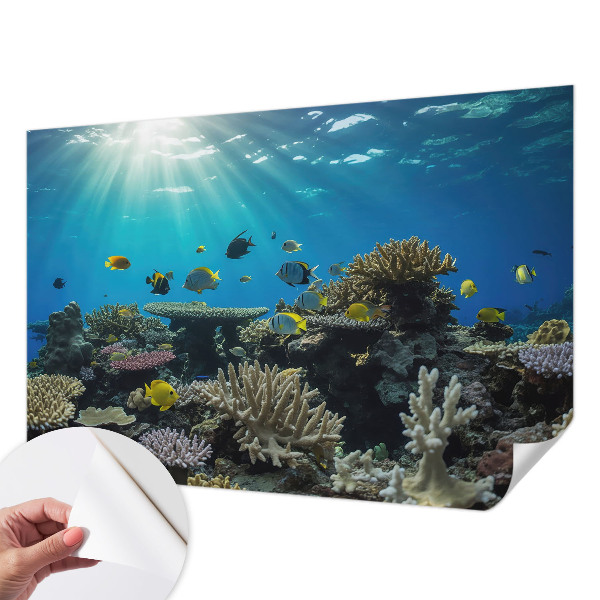 3D tapeta na stenu Podvodný svet