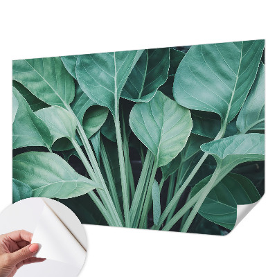 Fototapeta do detskej izby Zelená príroda