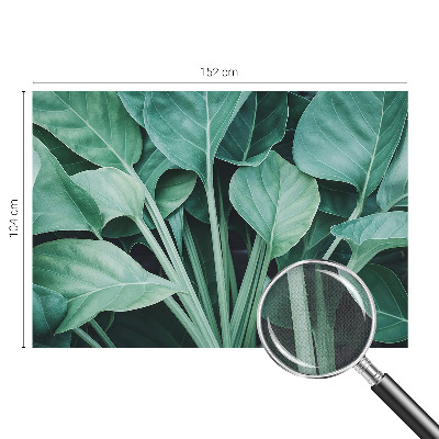 Fototapeta do detskej izby Zelená príroda