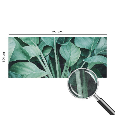 Fototapeta do detskej izby Zelená príroda