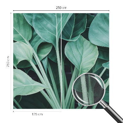 Fototapeta do detskej izby Zelená príroda