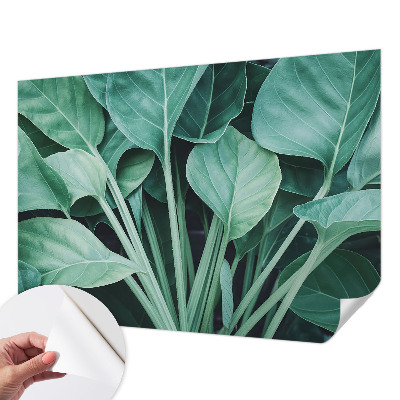 Fototapeta do detskej izby Zelená príroda