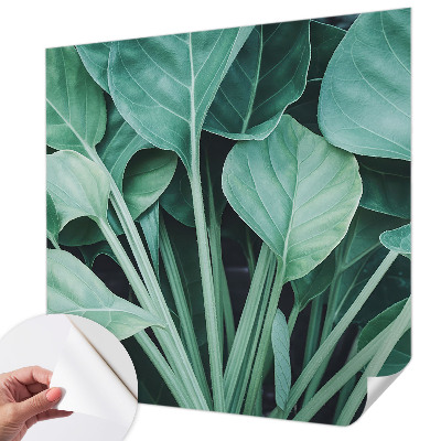 Fototapeta do detskej izby Zelená príroda