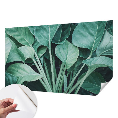 Fototapeta do detskej izby Zelená príroda