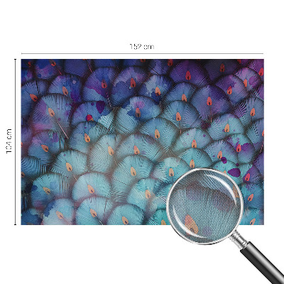 3D tapeta na stenu Farebné perie