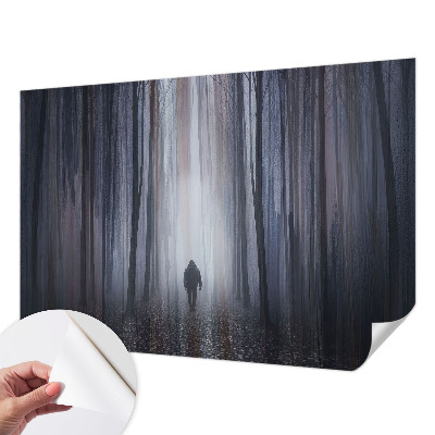 Moderná tapeta na stenu Lesné ticho