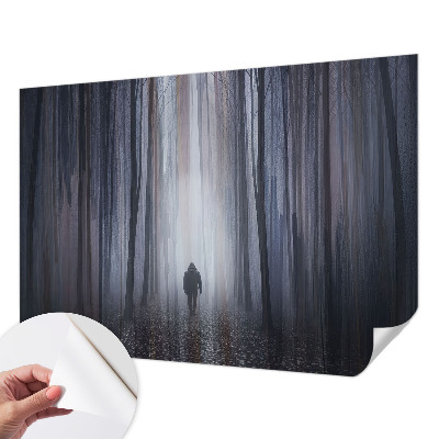 Moderná tapeta na stenu Lesné ticho