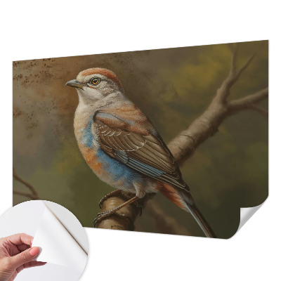 Tapety na stenu samolepiace Portrét vtáka