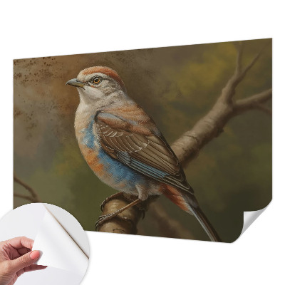 Tapety na stenu samolepiace Portrét vtáka