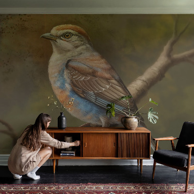 Tapety na stenu samolepiace Portrét vtáka