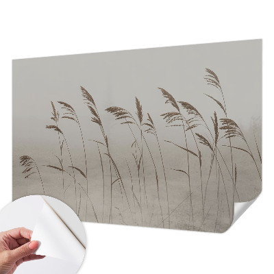 Samolepiaca fototapeta Trávy v hmle