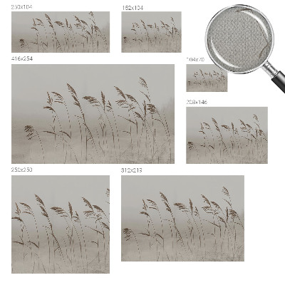 Samolepiaca fototapeta Trávy v hmle