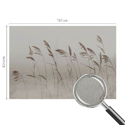 Samolepiaca fototapeta Trávy v hmle