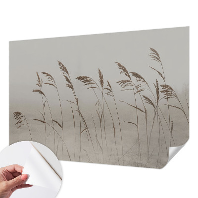 Samolepiaca fototapeta Trávy v hmle